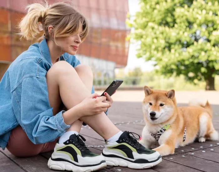 Safe and Comfortable Transport Solutions