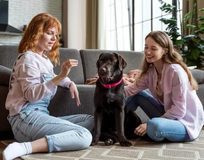 Seoul Arrival Arrangements and Quarantine Support