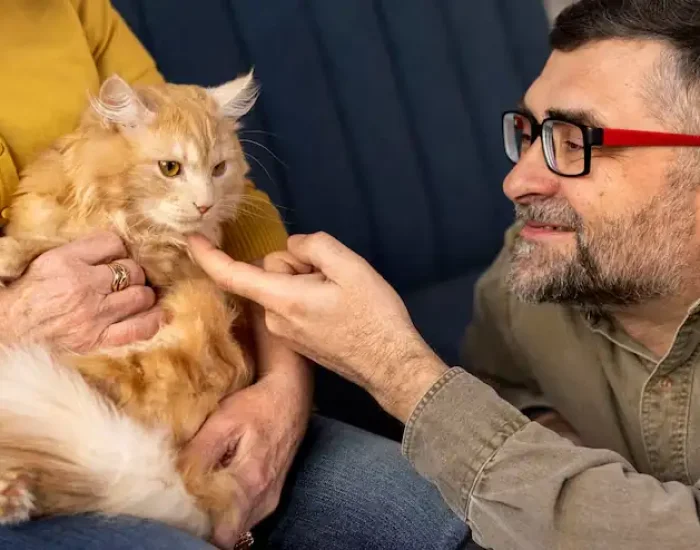 Special Needs, Senior Pets & Behavioural Considerationsh