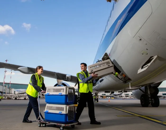 Specialist Relocation for Dogs, Cats, and Exotic Pets