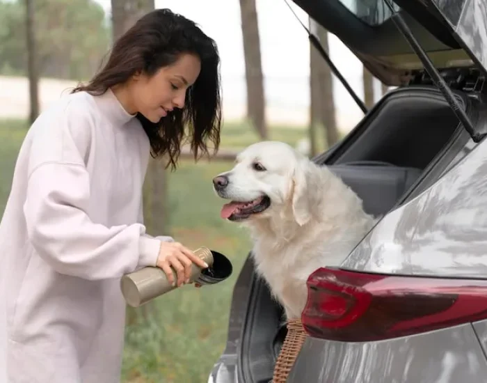 Summer Travel Tips for Pets