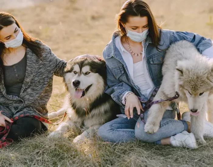 Temporary Boarding and Layover Care