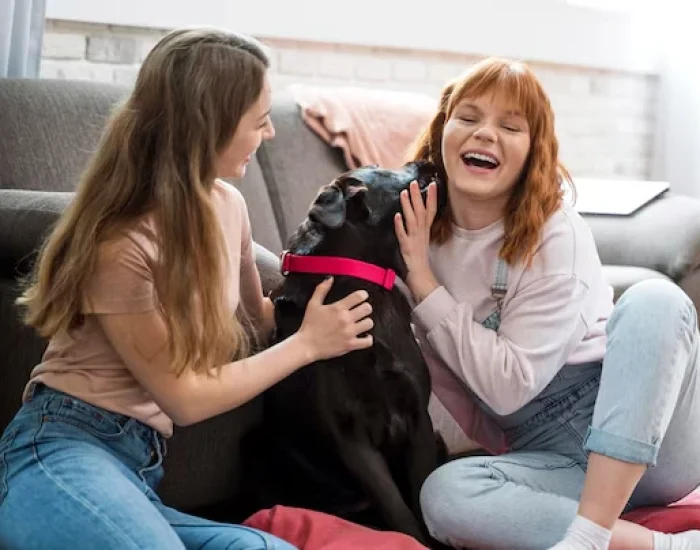 Temporary Boarding and Pre-Travel Care