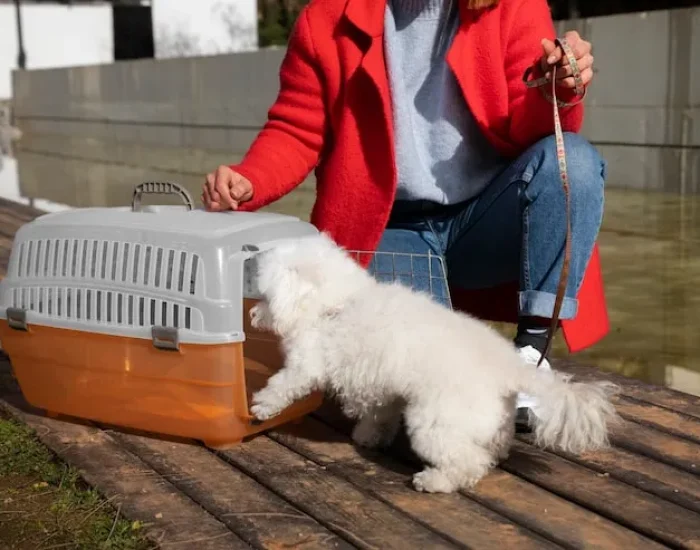 Temporary Boarding and Quarantine Support