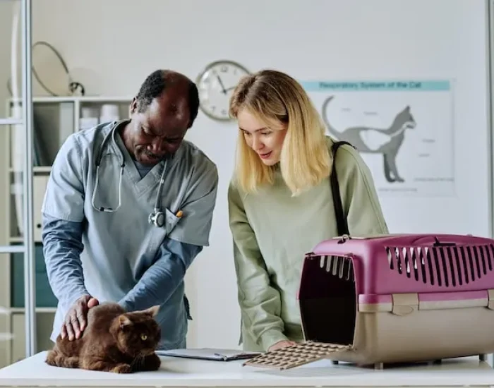 Temporary Housing Coordination for Pets