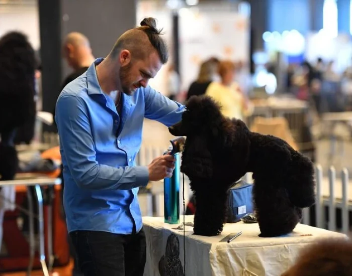 Temporary Pet Boarding Linked to Corporate Moves