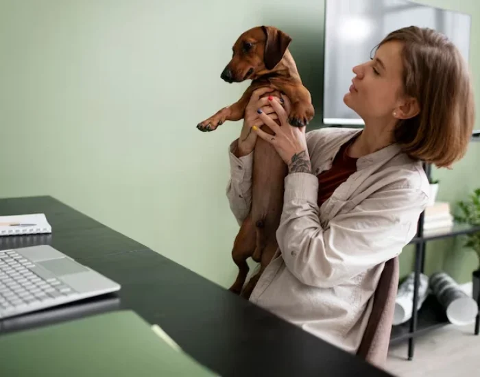 Temporary Pet Boarding and Quarantine Assistancef