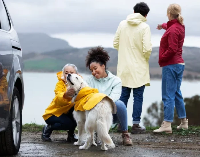 Travel Coordination for Multi-Pet or Corporate Movesn