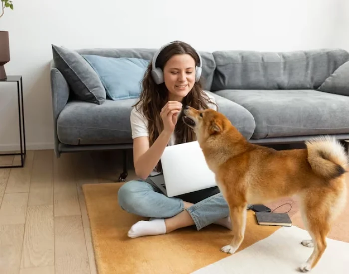 Travel Crate Preparation and Airline Compliance