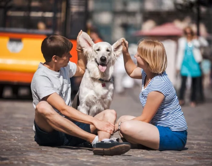 Travel Risk Assessment Based on Route, Pet Type, and Duration