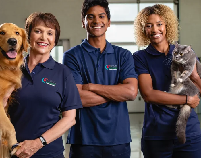 Trusted professional pet relocation team