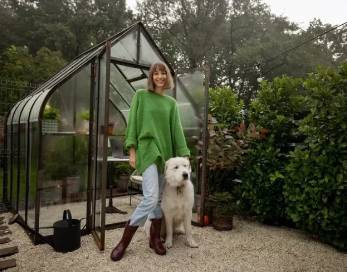 UAE Export Permits and Government Clearance