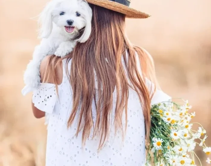 UK Arrival Clearance and Animal Reception Handling