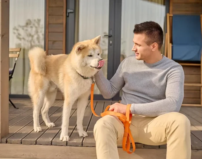 UK Collection and Airport Handling