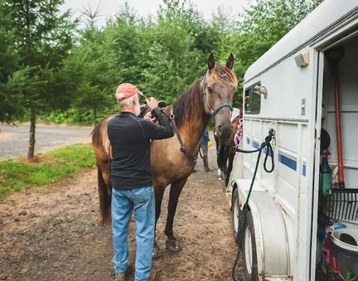 UK Domestic Mini Horse Courier Service