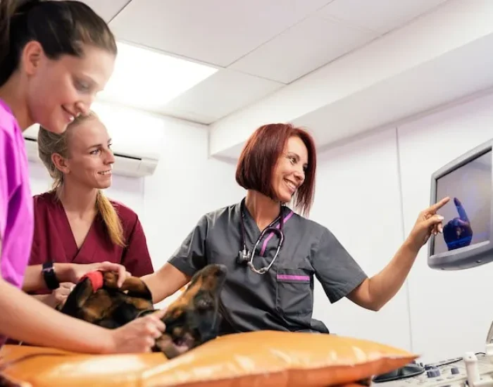 UK Export Documentation Management