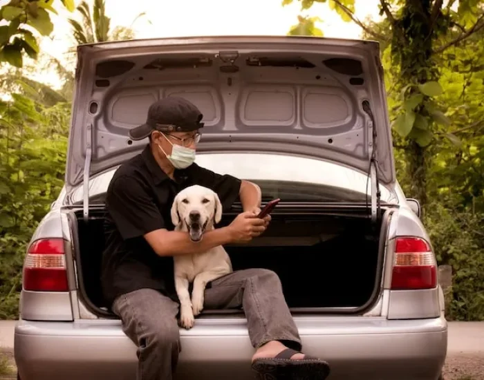 UK Export Documentation Preparation