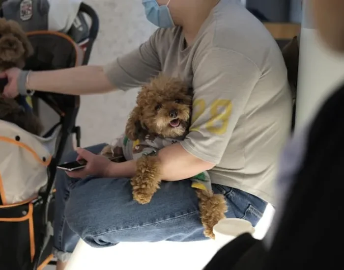 UK Export Handling at Manchester