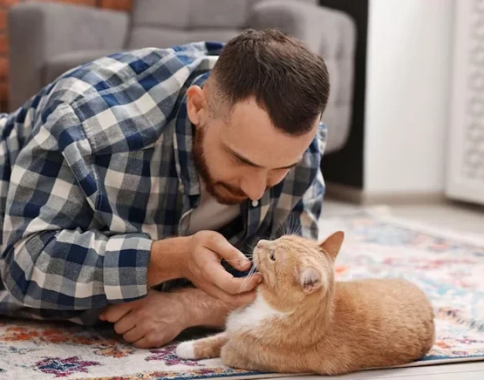 UK Import Documentation and Certification