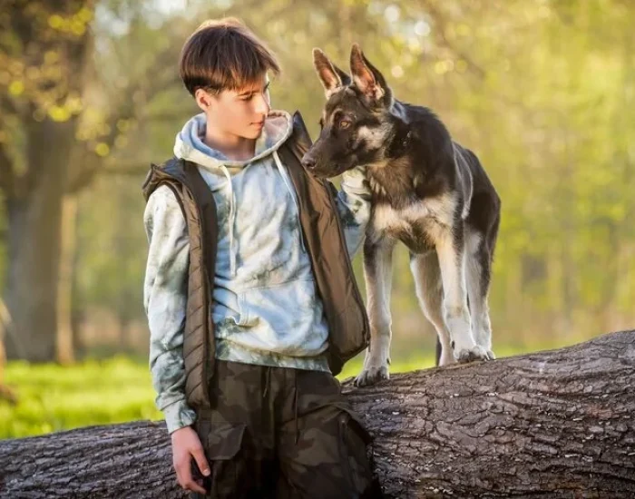 UK Import Structuring and DEFRA Compliance Alignment