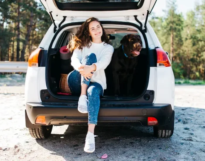 UK-Wide Pet Courier Services from Yorkh