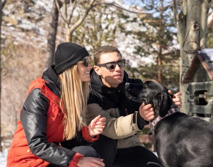 UK to Finland Door-to-Door Pet Transport