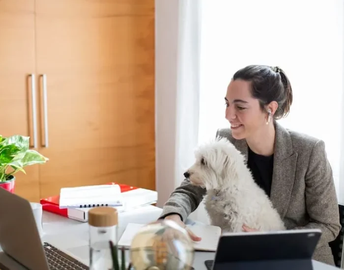 UK to Montreal Export Documentation Management