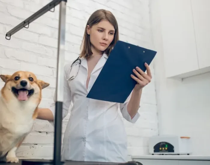 UK to Sydney Pet Documentation & DAFF Compliance Management​