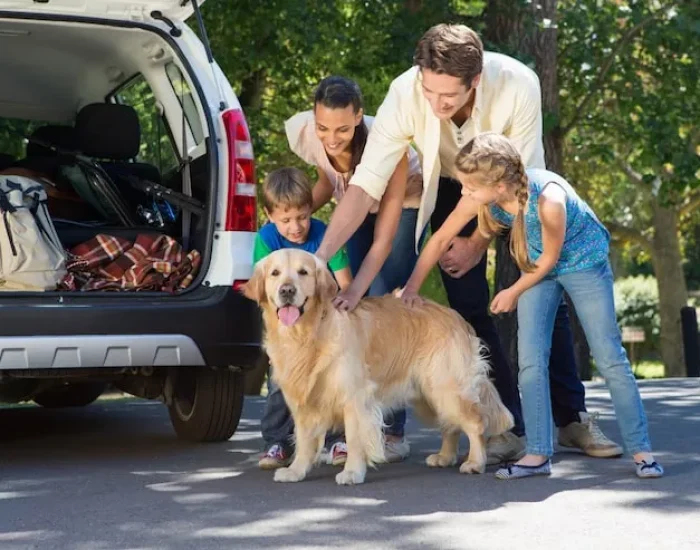 USDA and US Entry Compliance Support