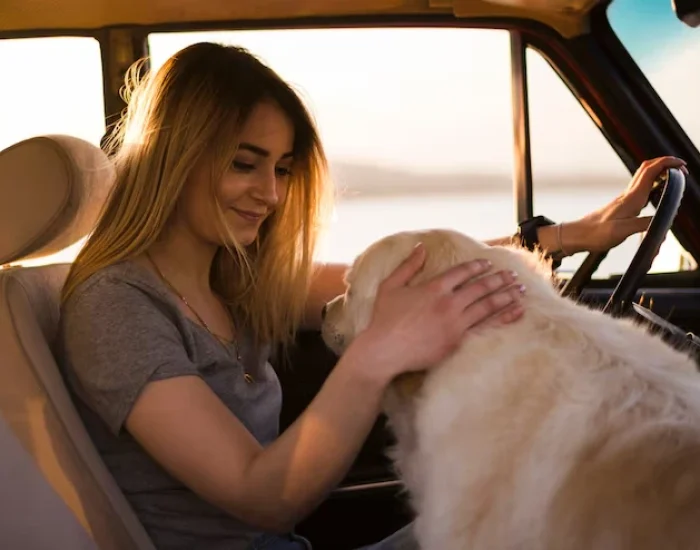 VIP Pet Relocation Management