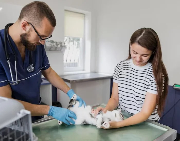 Veterinary Checks and Health Certificationa