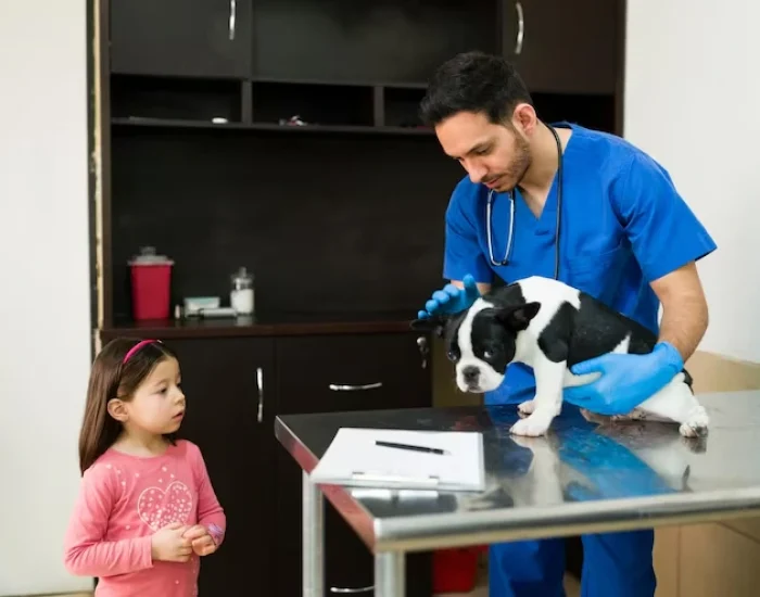 Veterinary Clearance and Health Certification