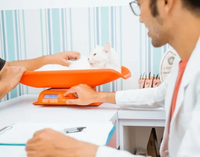 Veterinary Compliance Management