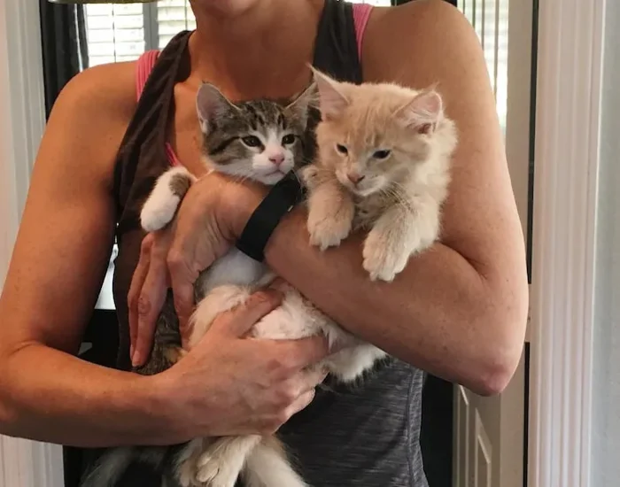 Veterinary Compliance Management