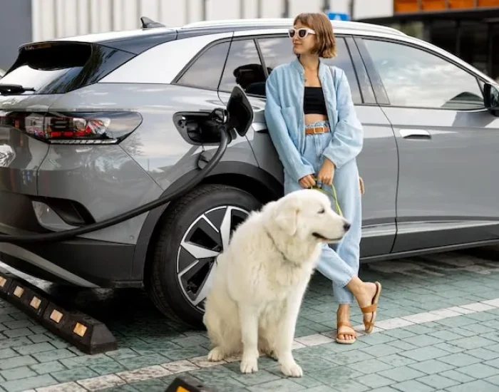 Veterinary Compliance Management