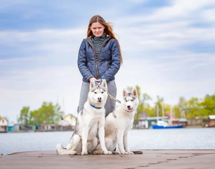 Veterinary Compliance and Pre-Travel Preparation