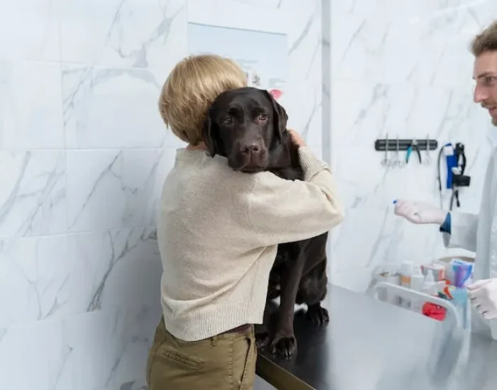 Veterinary Coordination and Compliance Preparation