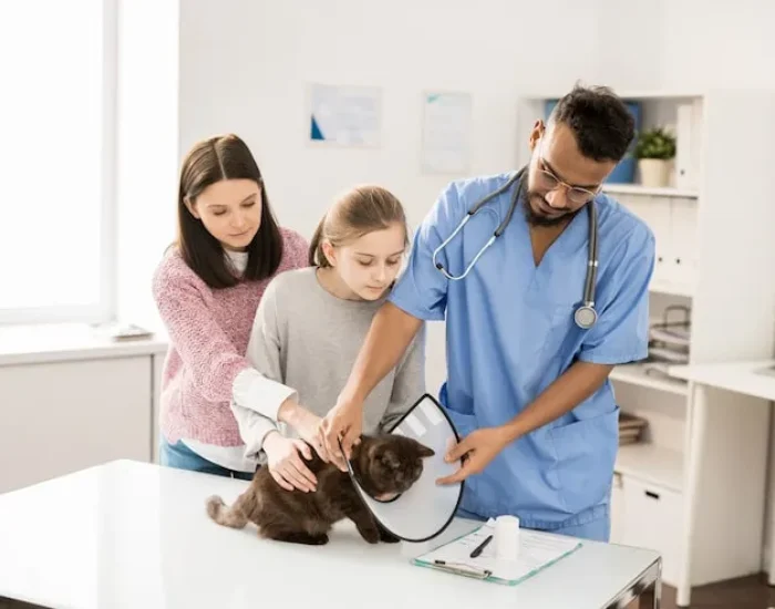 Veterinary Coordination and Health Checks
