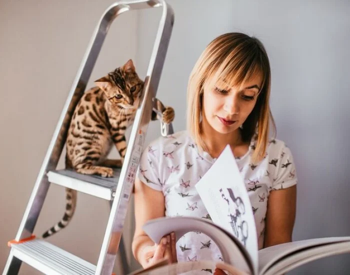 Veterinary Coordination and Health Oversight​