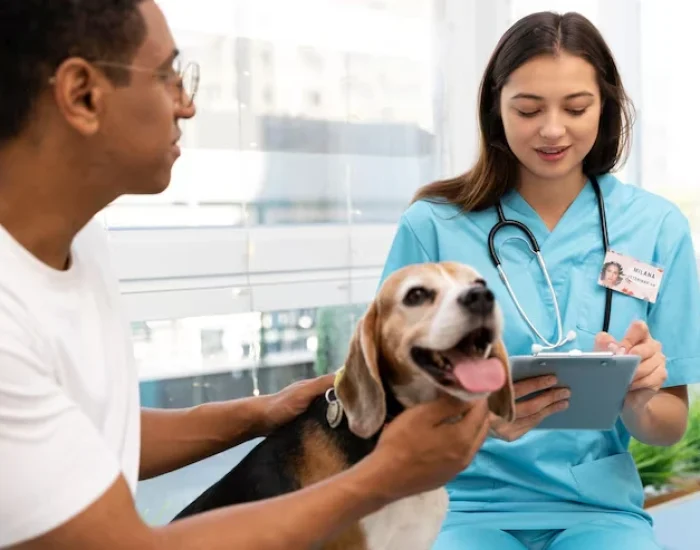 Veterinary Coordination and Pre-Travel Health Checks