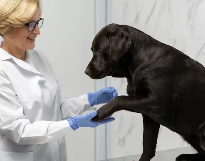 Veterinary Coordination and Timing Control