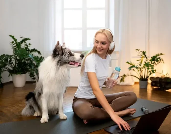 Veterinary Coordination in the UK