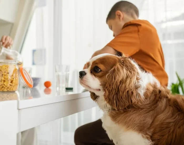 Ongoing Case Oversight