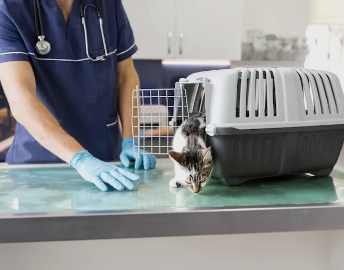 Veterinary Liaison and Documentation Handling