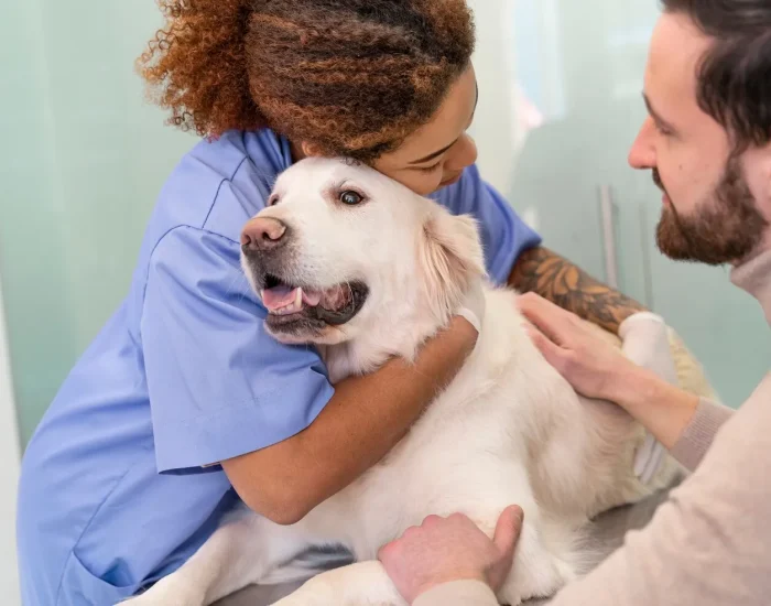 Veterinary Preparation & Compliance Oversight