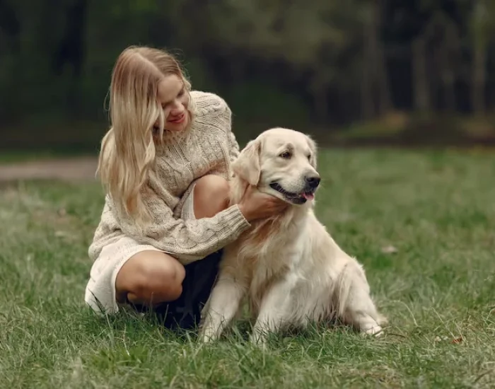 Veterinary and Documentation Management