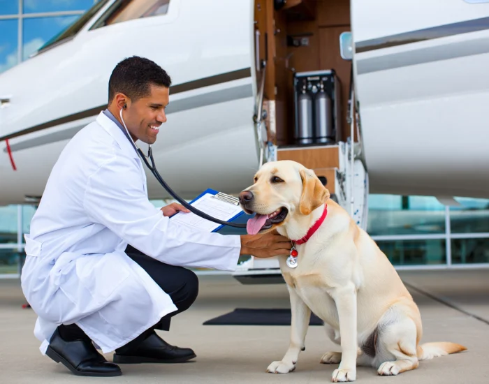 3. Veterinary and Documentation Management