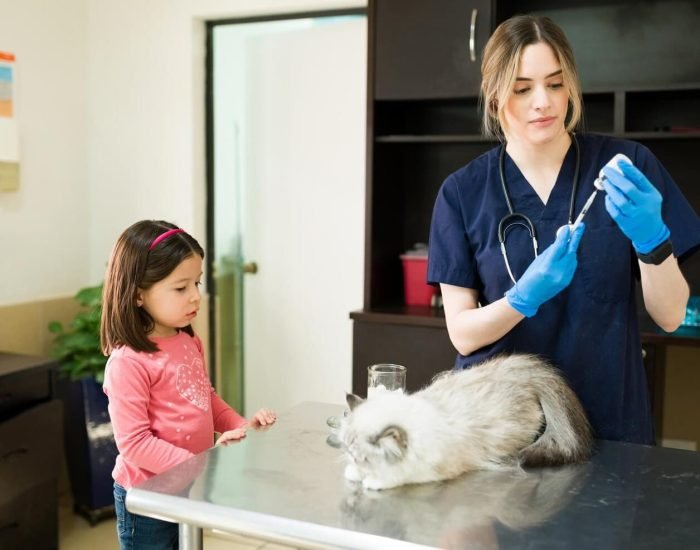 Veterinary and Health Compliance Coordinatiom