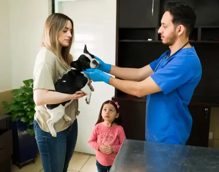 Veterinary and Health Preparation Service