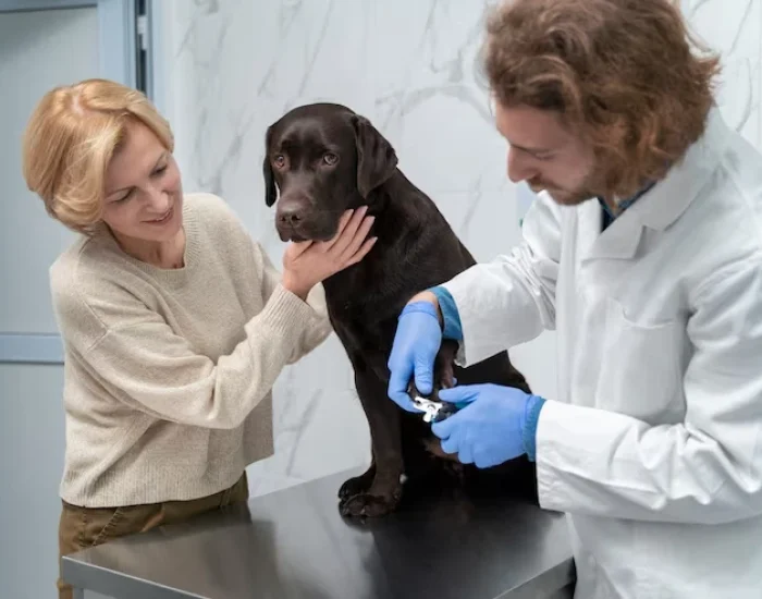 Veterinary and Health Preparationmn